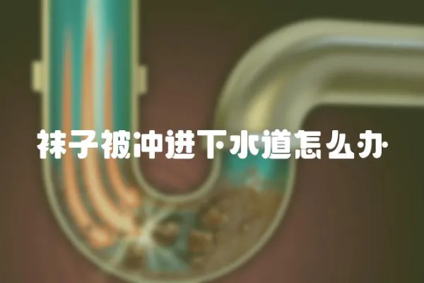 襪子被沖進下水道怎么辦