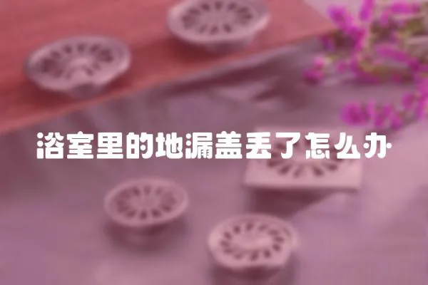 浴室里的地漏蓋丟了怎么辦