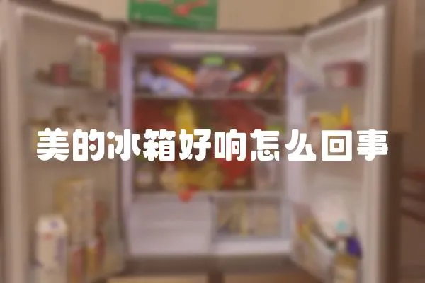 美的冰箱好響怎么回事