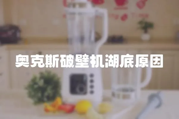 奧克斯破壁機湖底原因