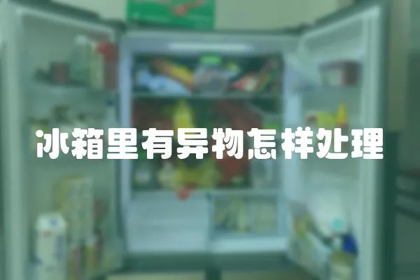 冰箱里有異物怎樣處理