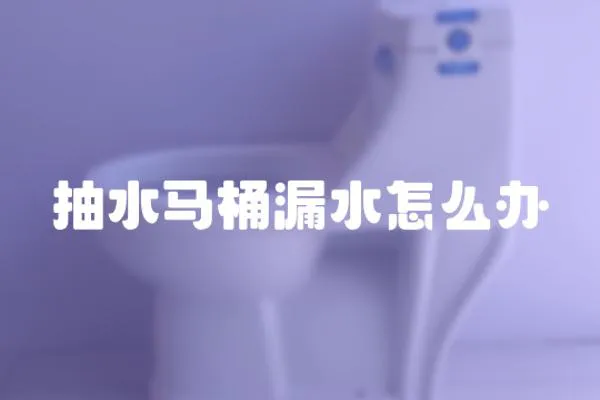 抽水馬桶漏水怎么辦