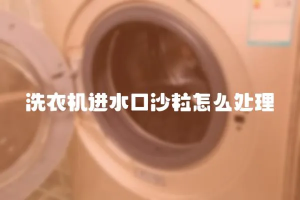 洗衣機進水口沙粒怎么處理