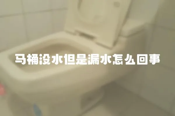 馬桶沒水但是漏水怎么回事