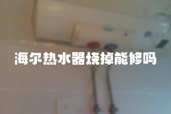 海爾熱水器燒掉能修嗎