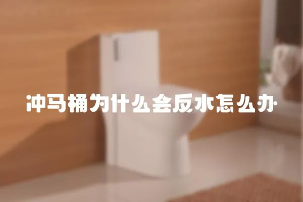 沖馬桶為什么會(huì)反水怎么辦