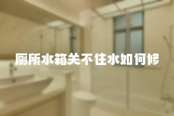 廁所水箱關不住水如何修