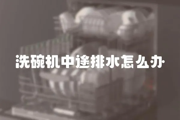 洗碗機(jī)中途排水怎么辦