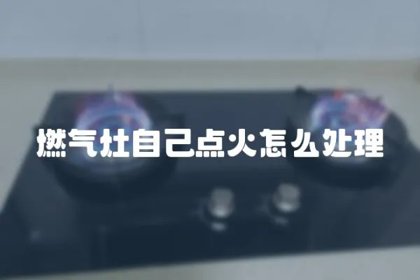 燃?xì)庠钭约狐c(diǎn)火怎么處理