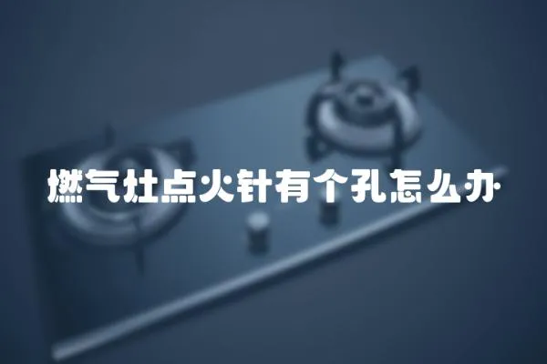 燃氣灶點火針有個孔怎么辦