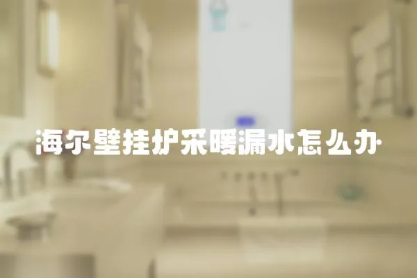 海爾壁掛爐采暖漏水怎么辦