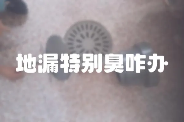 地漏特別臭咋辦
