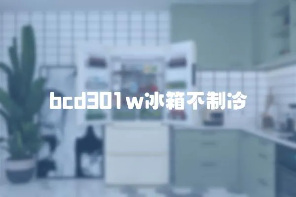 bcd301w冰箱不制冷