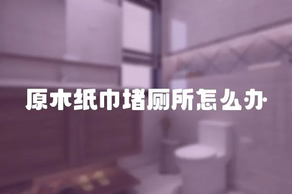 原木紙巾堵廁所怎么辦