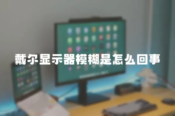 戴尔显示器模糊是怎么回事