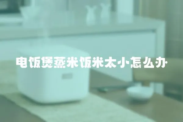 電飯煲蒸米飯米太小怎么辦