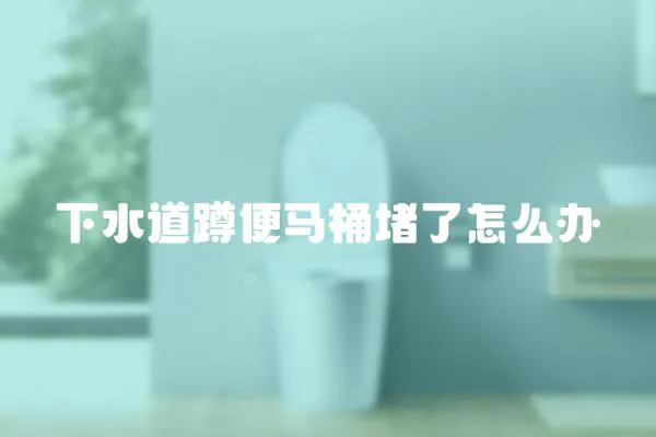 下水道蹲便馬桶堵了怎么辦