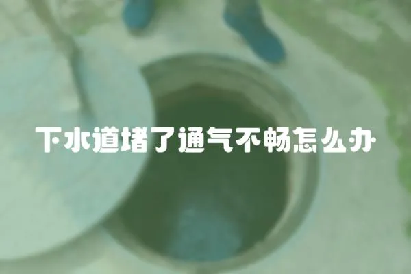 下水道堵了通氣不暢怎么辦