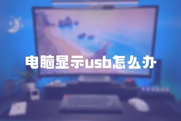 电脑显示usb怎么办