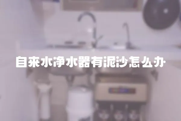 自來水凈水器有泥沙怎么辦