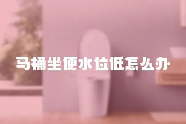 馬桶坐便水位低怎么辦