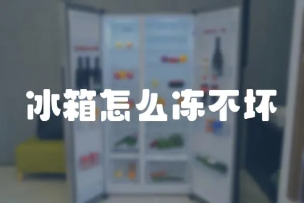 冰箱怎么凍不壞