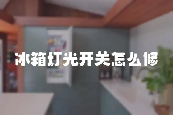 冰箱燈光開關怎么修