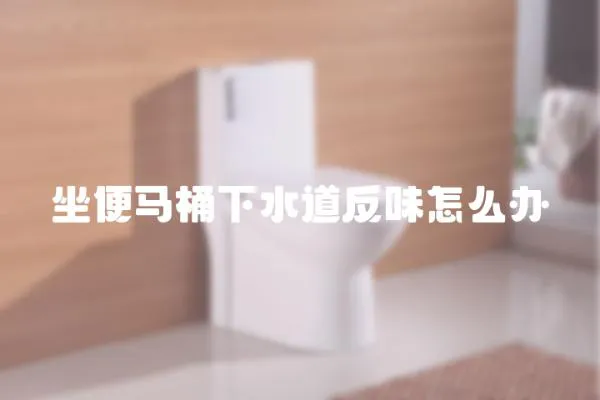 坐便馬桶下水道反味怎么辦