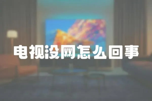 電視沒網怎么回事