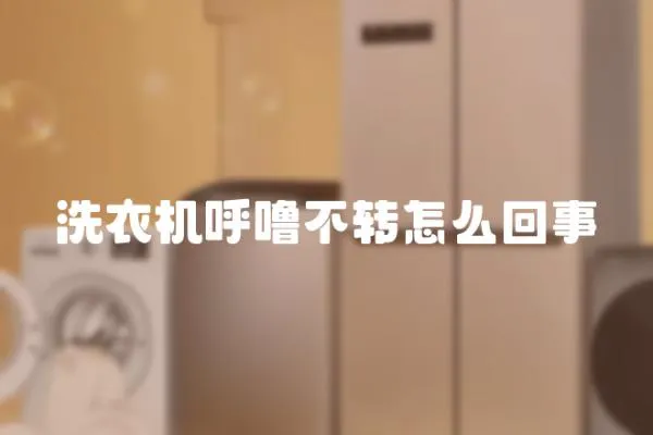 洗衣機呼嚕不轉怎么回事