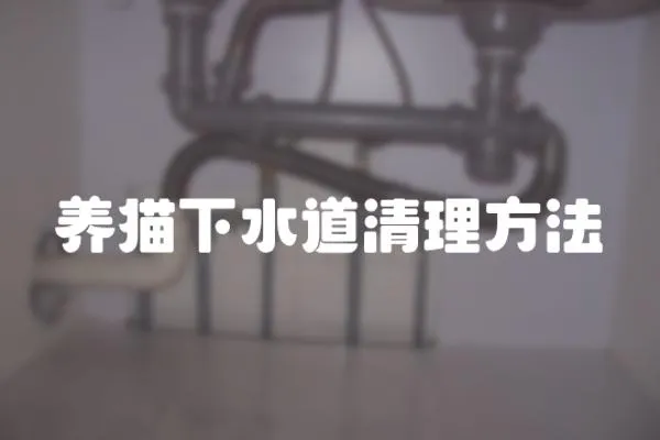 養貓下水道清理方法