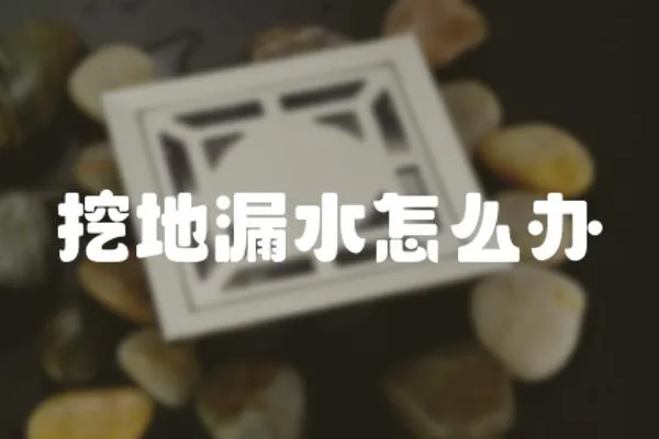 挖地漏水怎么辦