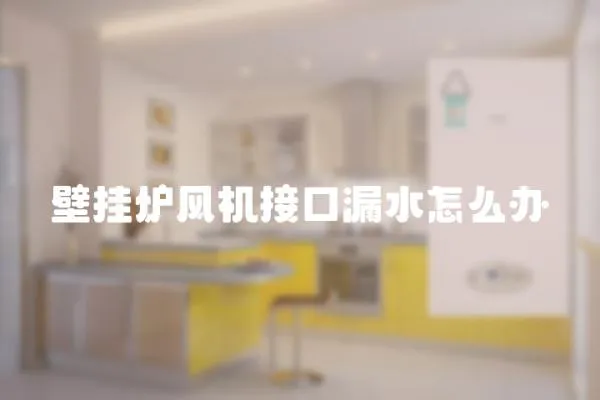 壁掛爐風(fēng)機(jī)接口漏水怎么辦