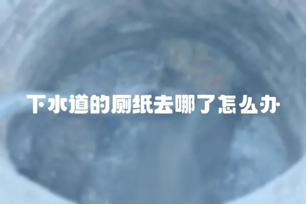 下水道的廁紙去哪了怎么辦