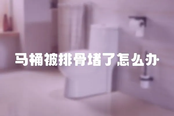 馬桶被排骨堵了怎么辦