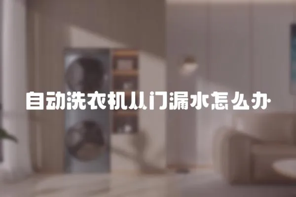 自動洗衣機從門漏水怎么辦