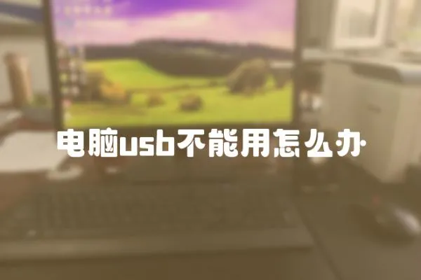 電腦usb不能用怎么辦
