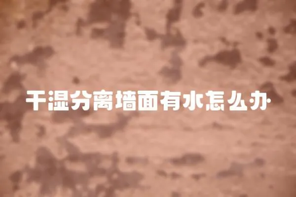 干濕分離墻面有水怎么辦