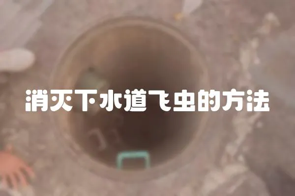 消滅下水道飛蟲的方法