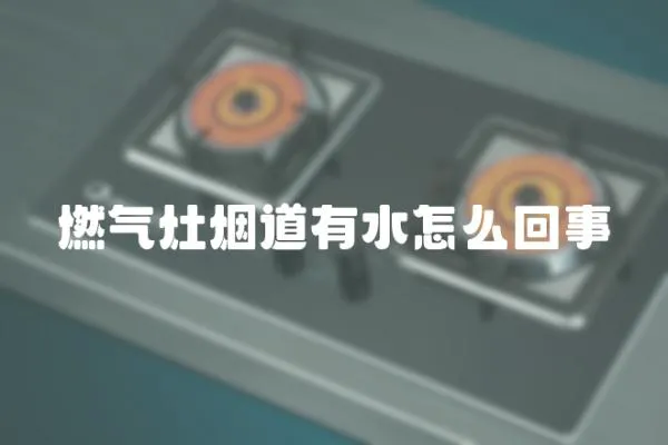 燃氣灶煙道有水怎么回事