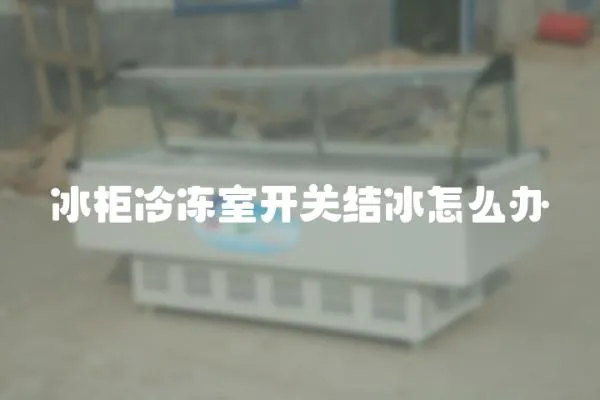 冰柜冷凍室開關(guān)結(jié)冰怎么辦