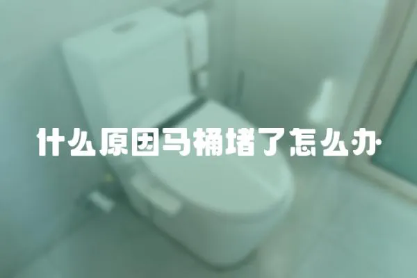 什么原因馬桶堵了怎么辦