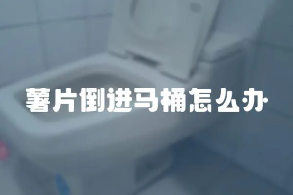 薯片倒進馬桶怎么辦