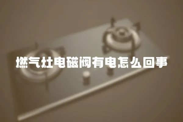 燃?xì)庠铍姶砰y有電怎么回事