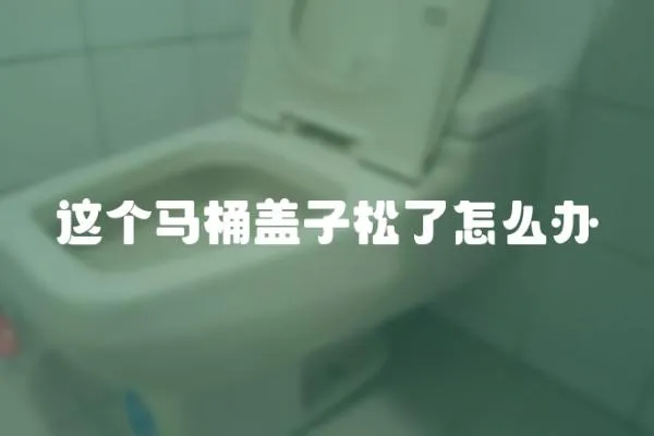 這個(gè)馬桶蓋子松了怎么辦