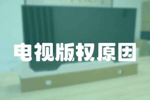 電視版權原因