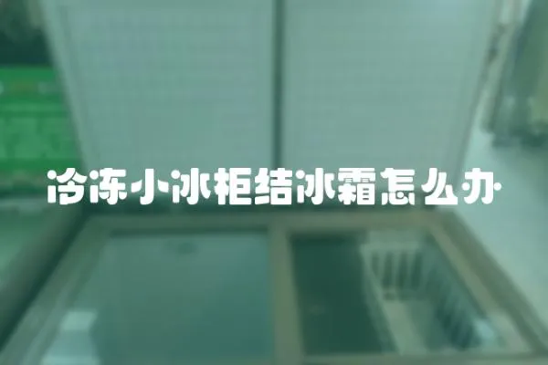 冷凍小冰柜結冰霜怎么辦