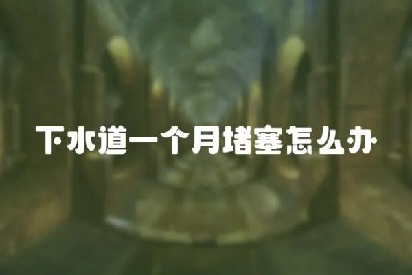 下水道一個月堵塞怎么辦