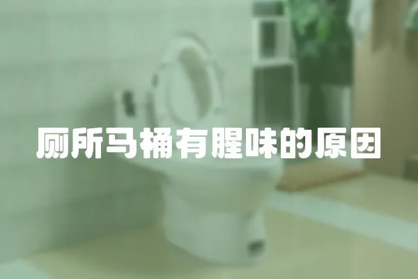 廁所馬桶有腥味的原因