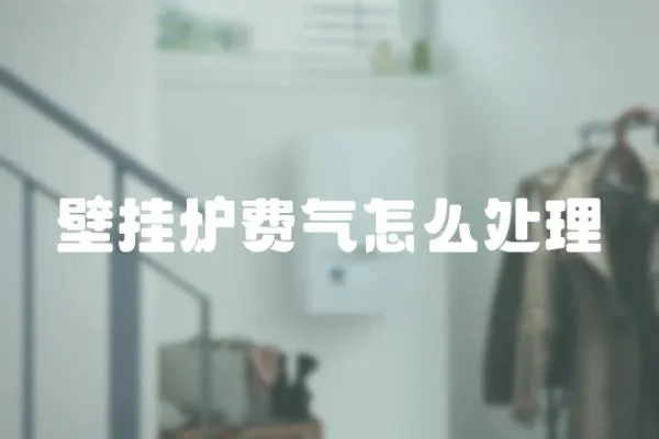 壁掛爐費氣怎么處理